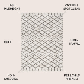 Algaida Moroccan Diamond Shag Area Rug